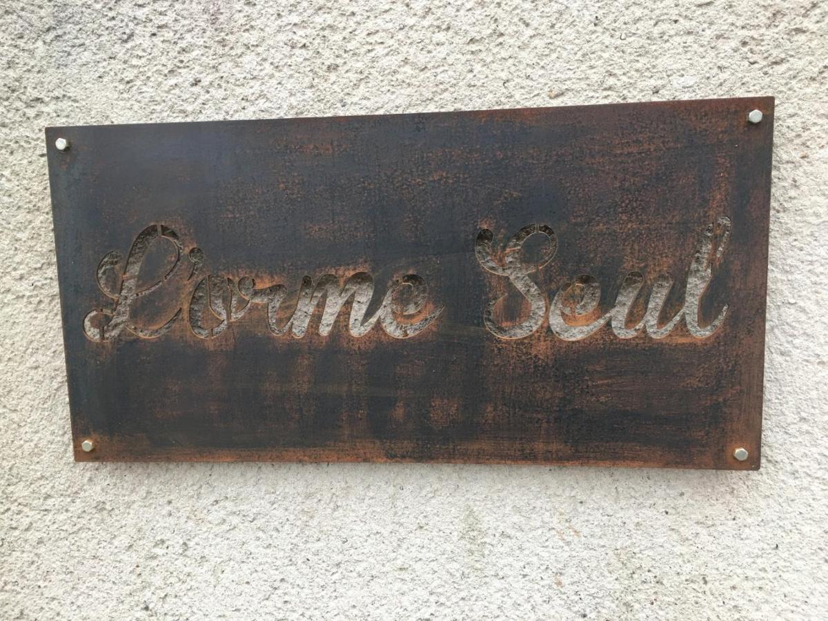 L'Orme Seul, Maison D'Hotes Vineuil  Exteriör bild