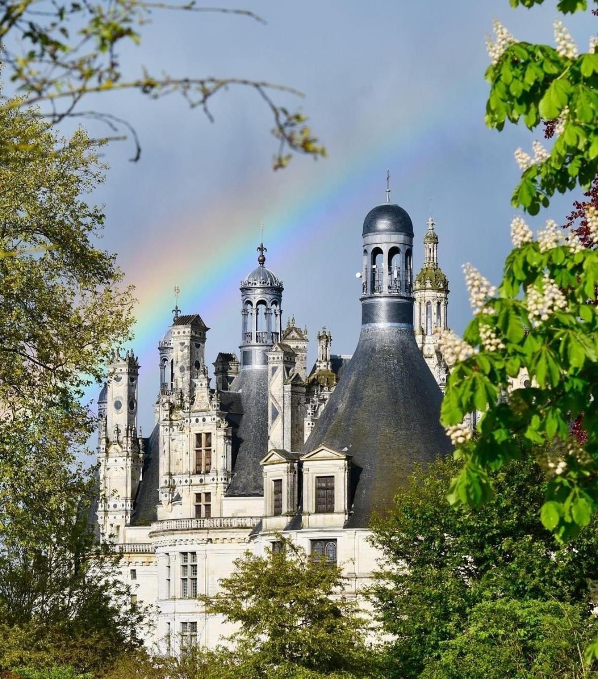 L'Orme Seul, Maison D'Hotes Vineuil  Exteriör bild