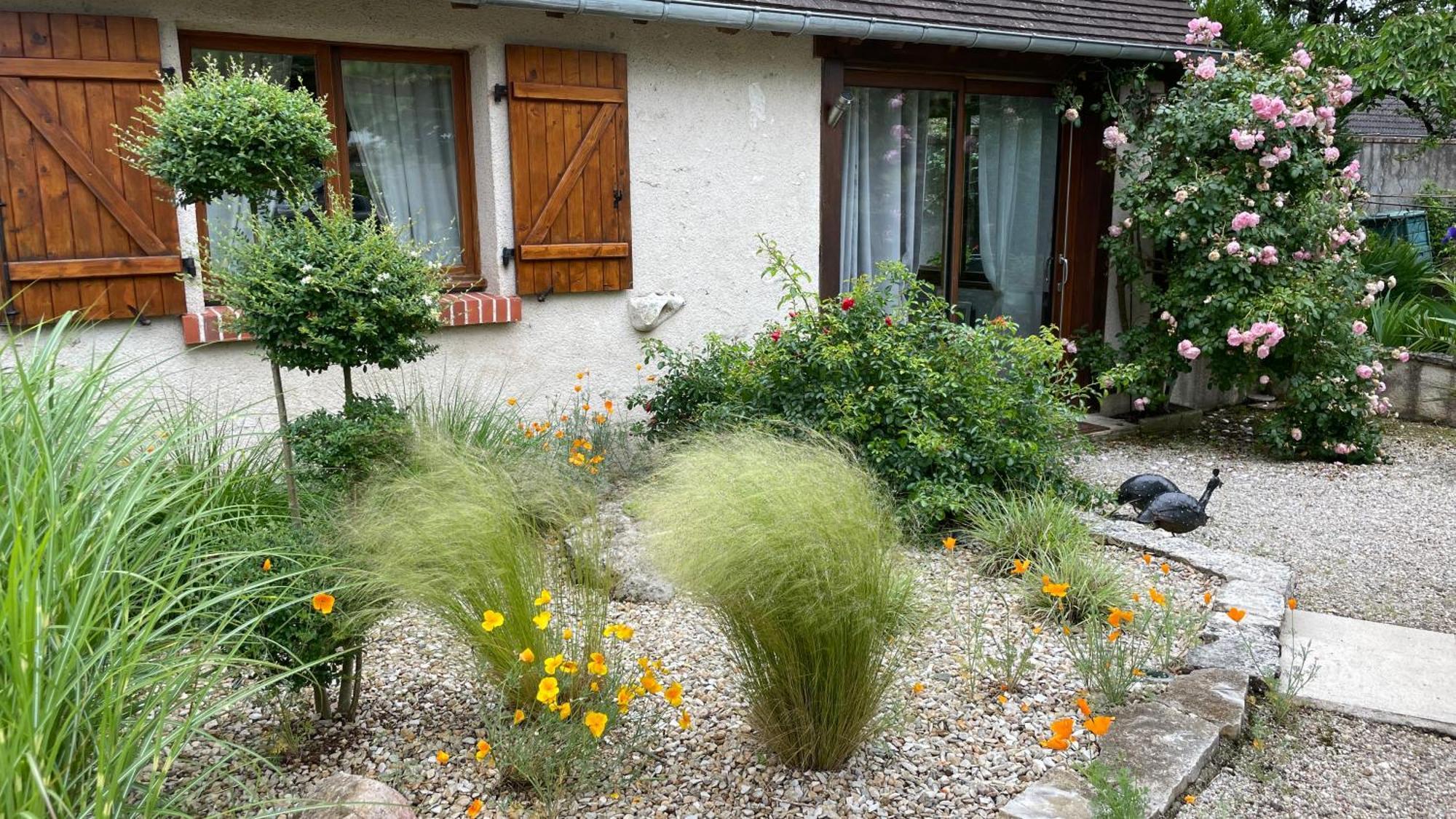 L'Orme Seul, Maison D'Hotes Vineuil  Exteriör bild